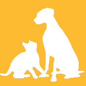 Event Home: Mutt Strut 2025
